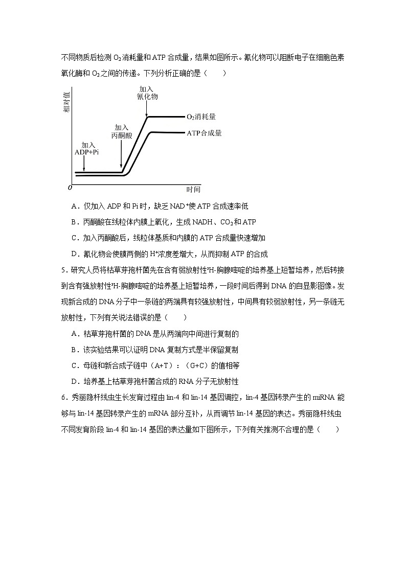 2025届天一小高考高三下学期第三次考试生物试题（附答案解析）第2页