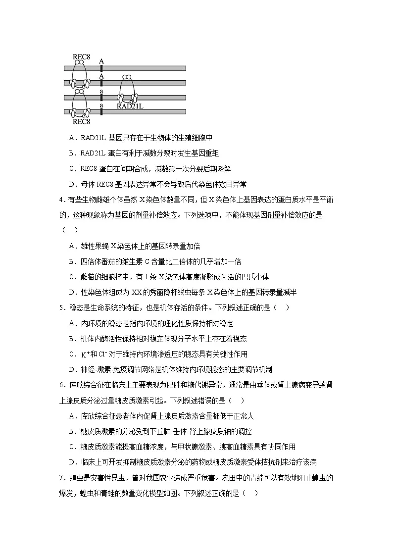 第十届（2025届）湖北省高三下学期4月调研模拟考试生物试卷（附答案解析）第2页