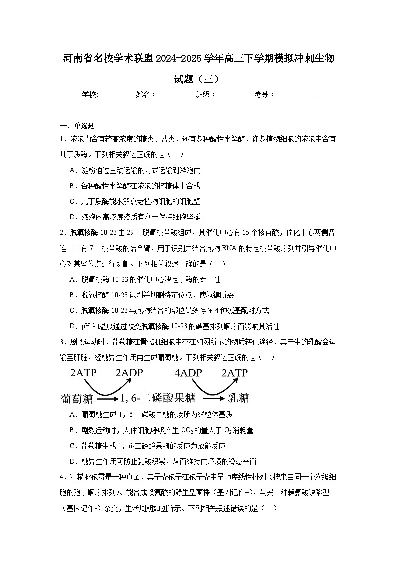 河南省名校学术联盟2024-2025学年高三下学期模拟冲刺生物试题（三）（附答案解析）第1页