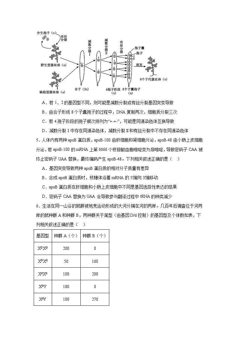 河南省名校学术联盟2024-2025学年高三下学期模拟冲刺生物试题（三）（附答案解析）第2页