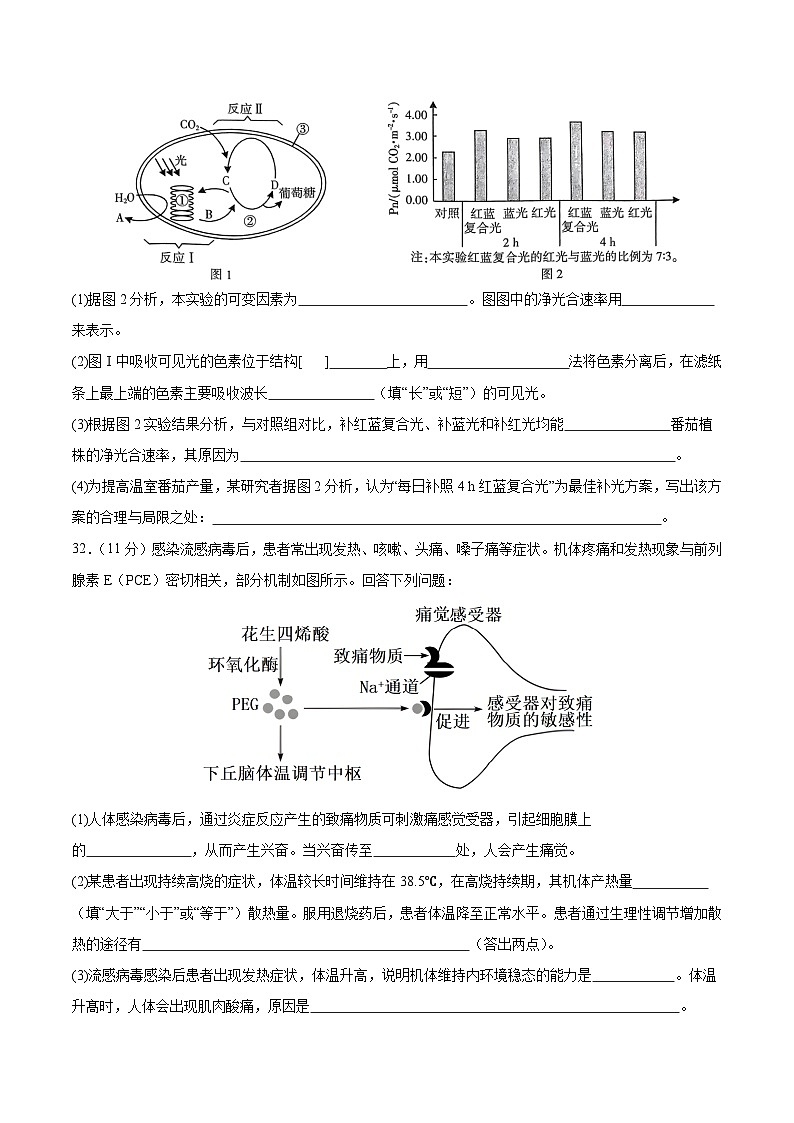 2025高考二模试卷生物（全国卷新教材）含解析第3页