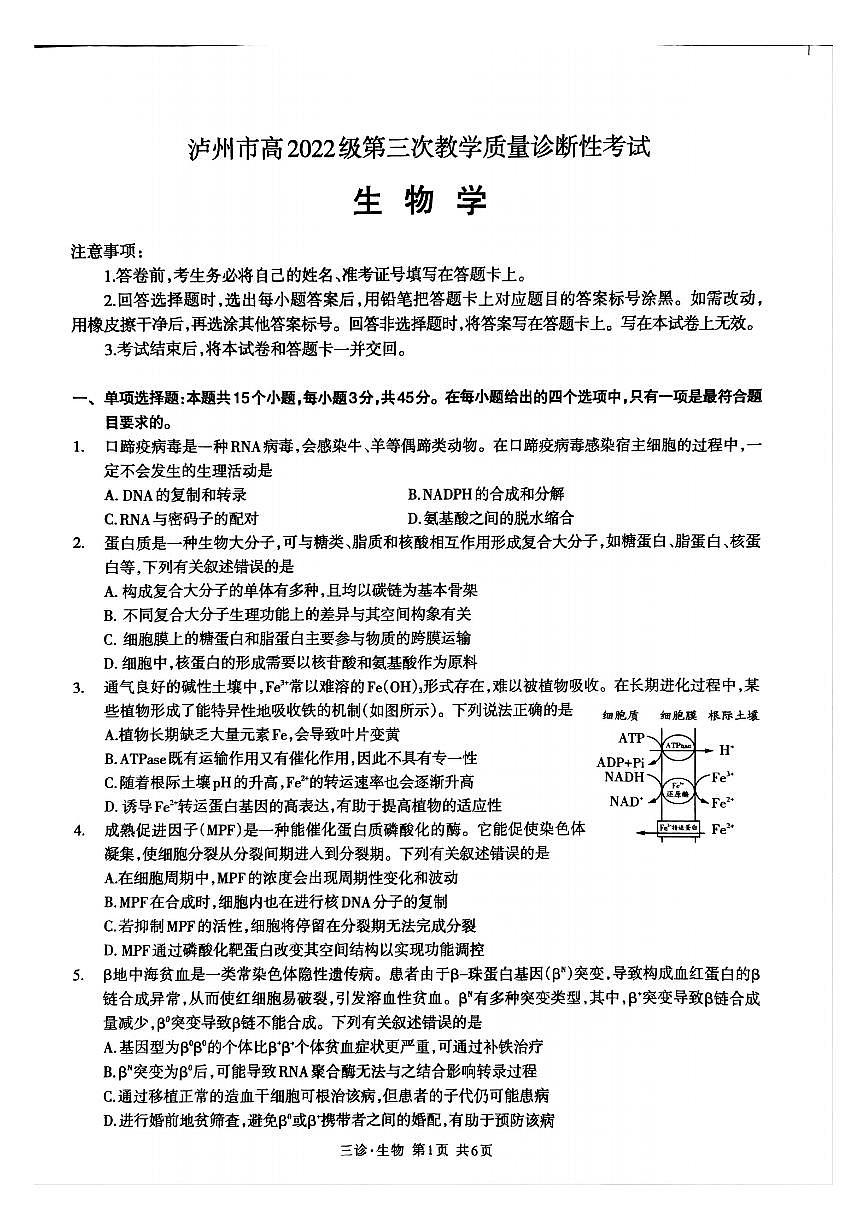 四川省泸州市高2022级第三次教学质量诊断性考试生物第1页