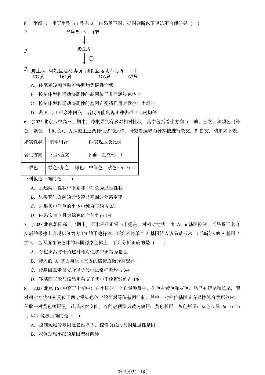 2022-2024北京重点校高三（上）期中真题生物汇编：孟德尔的豌豆杂交实验（二）第2页
