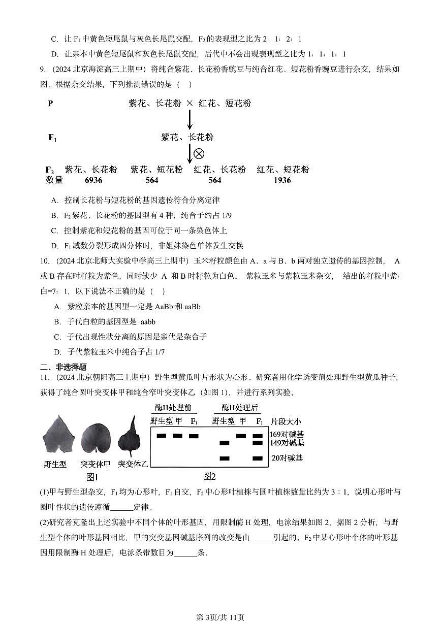 2022-2024北京重点校高三（上）期中真题生物汇编：孟德尔的豌豆杂交实验（二）第3页