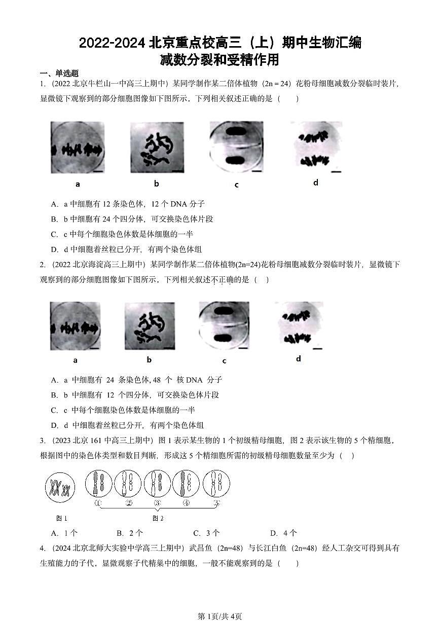 2022-2024北京重点校高三（上）期中真题生物汇编：减数分裂和受精作用第1页