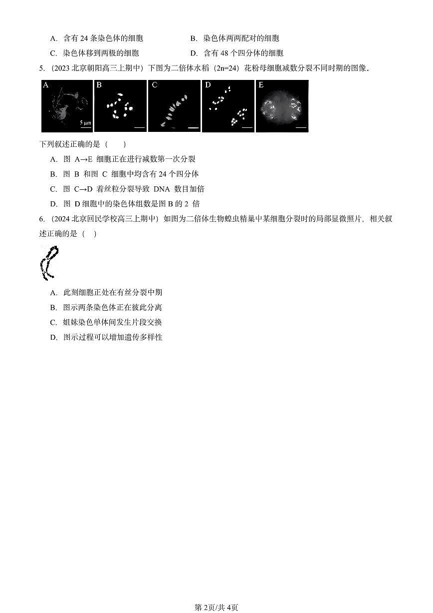 2022-2024北京重点校高三（上）期中真题生物汇编：减数分裂和受精作用第2页