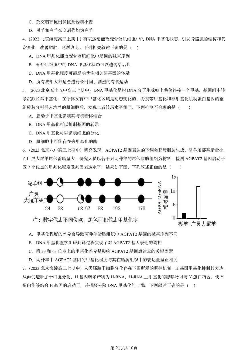 2022-2024北京重点校高三（上）期中真题生物汇编：基因的表达与性状关系第2页