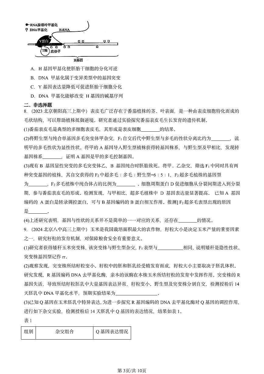 2022-2024北京重点校高三（上）期中真题生物汇编：基因的表达与性状关系第3页