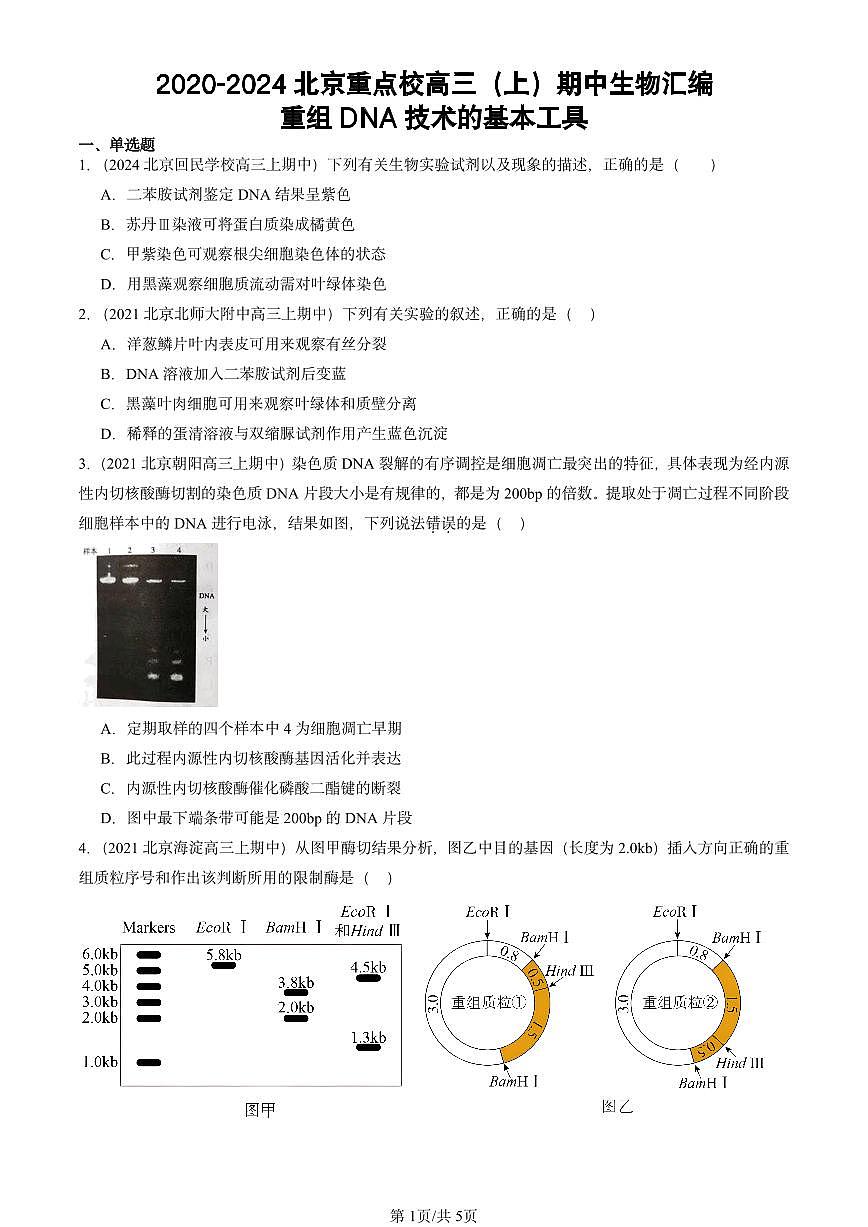 2020-2024北京重点校高三（上）期中真题生物汇编：重组DNA技术的基本工具第1页