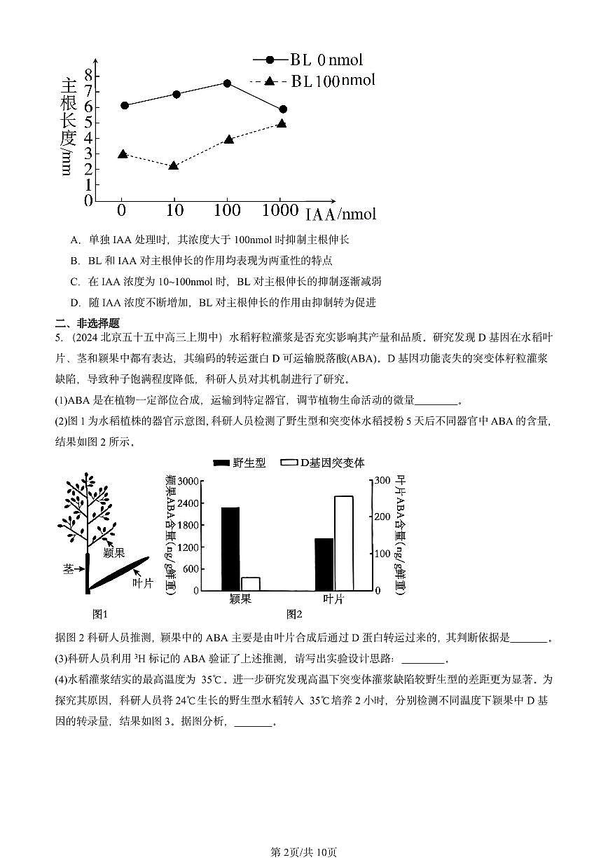 2024北京重点校高三（上）期中真题生物汇编：植物生命活动的调节章节综合第2页