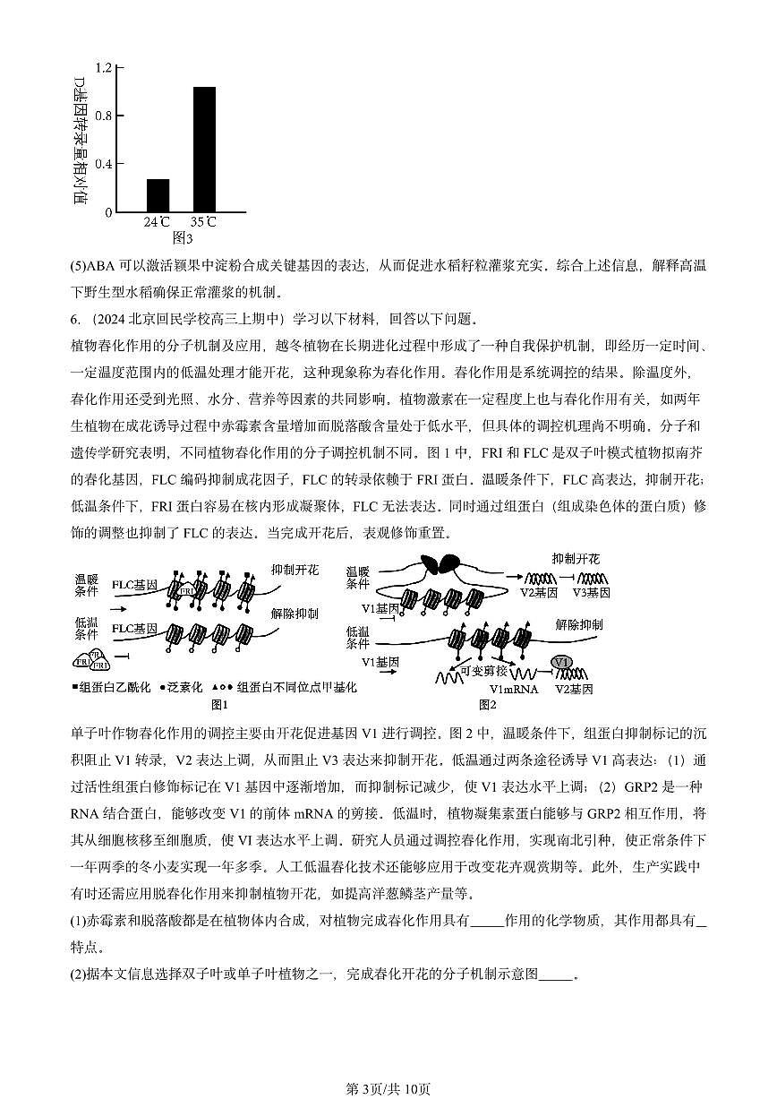 2024北京重点校高三（上）期中真题生物汇编：植物生命活动的调节章节综合第3页