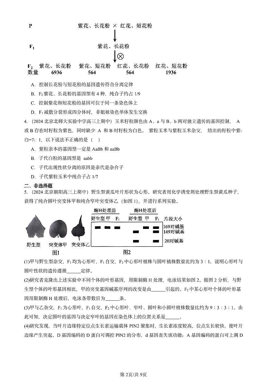 2024北京重点校高三（上）期中真题生物汇编：遗传因子的发现章节综合第2页