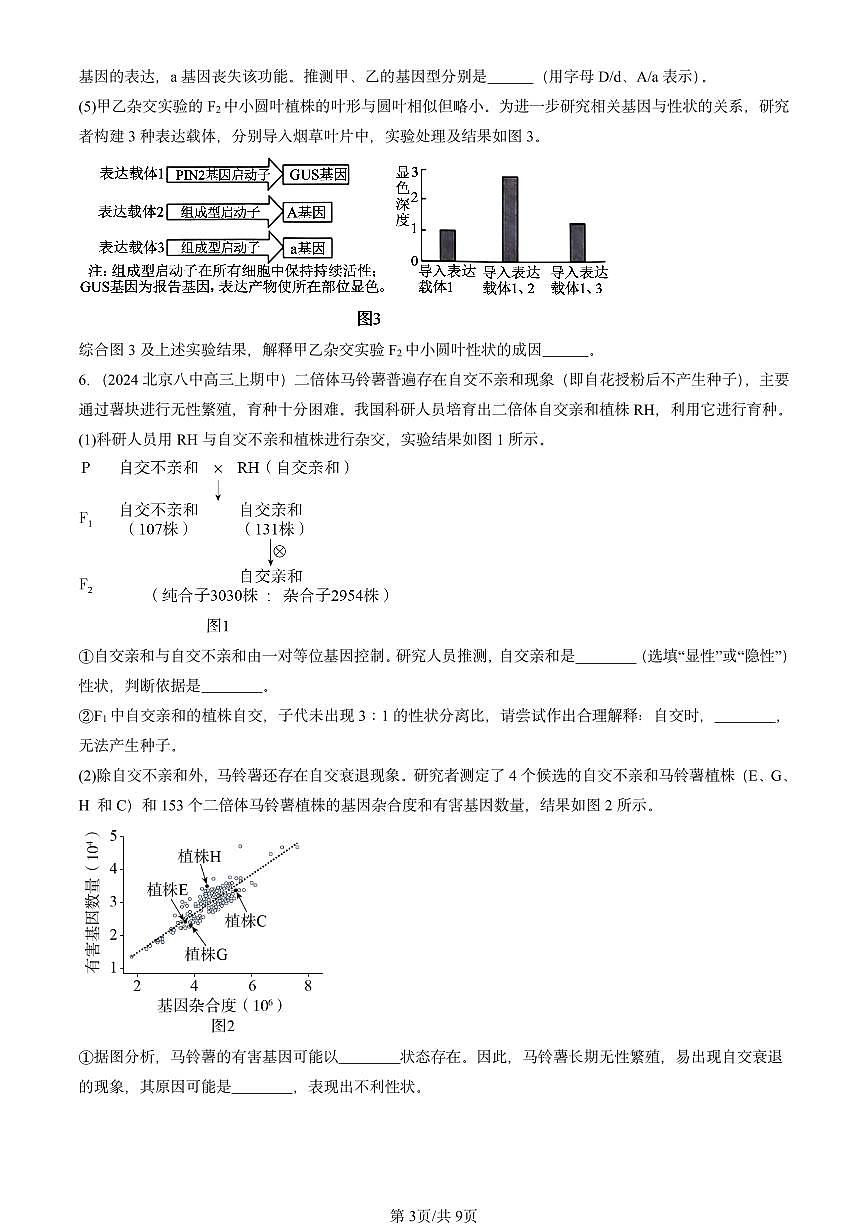 2024北京重点校高三（上）期中真题生物汇编：遗传因子的发现章节综合第3页