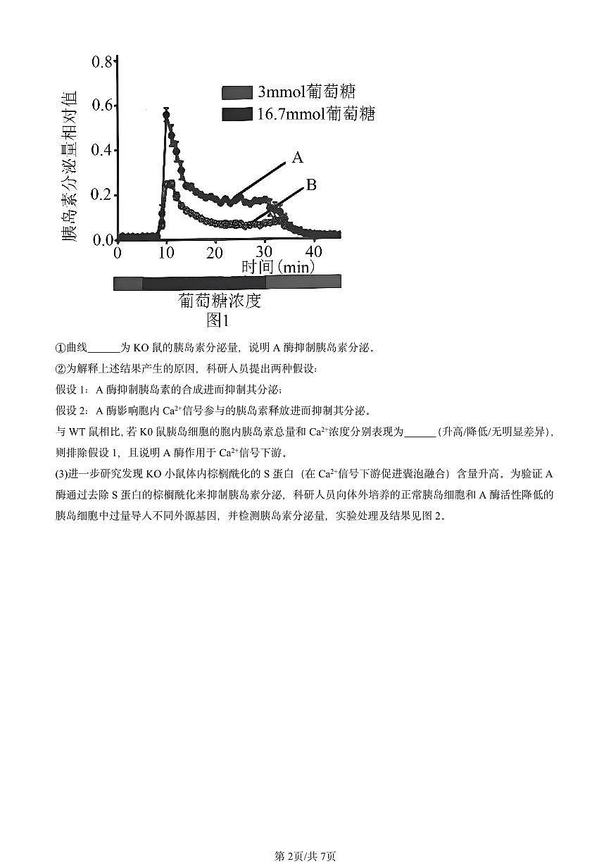 2024北京重点校高三（上）期中真题生物汇编：体液调节章节综合第2页