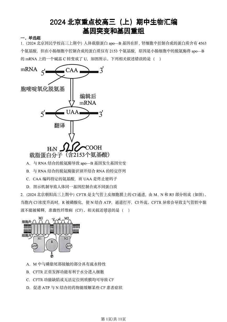 2024北京重点校高三（上）期中真题生物汇编：基因突变和基因重组第1页