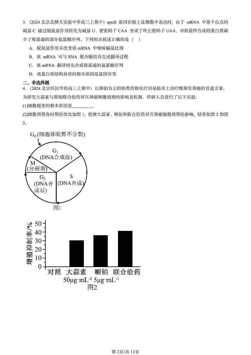 2024北京重点校高三（上）期中真题生物汇编：基因突变和基因重组第2页