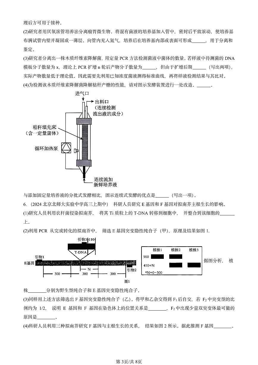 2024北京重点校高三（上）期中真题生物汇编：基因工程的基本操作程序第3页
