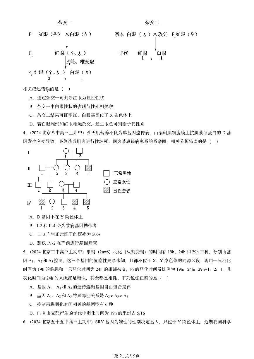2024北京重点校高三（上）期中真题生物汇编：伴性遗传第2页