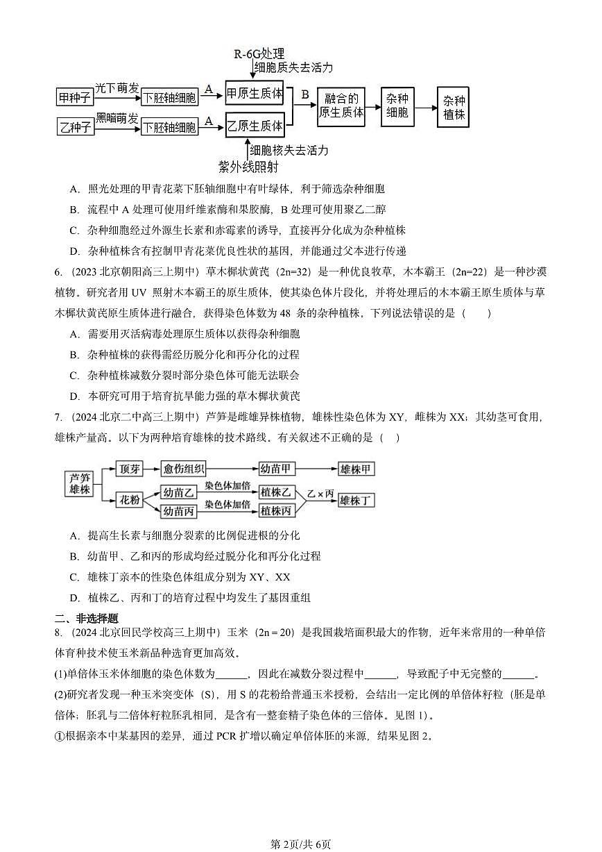 2022-2024北京重点校高三（上）期中真题生物汇编：植物细胞工程第2页