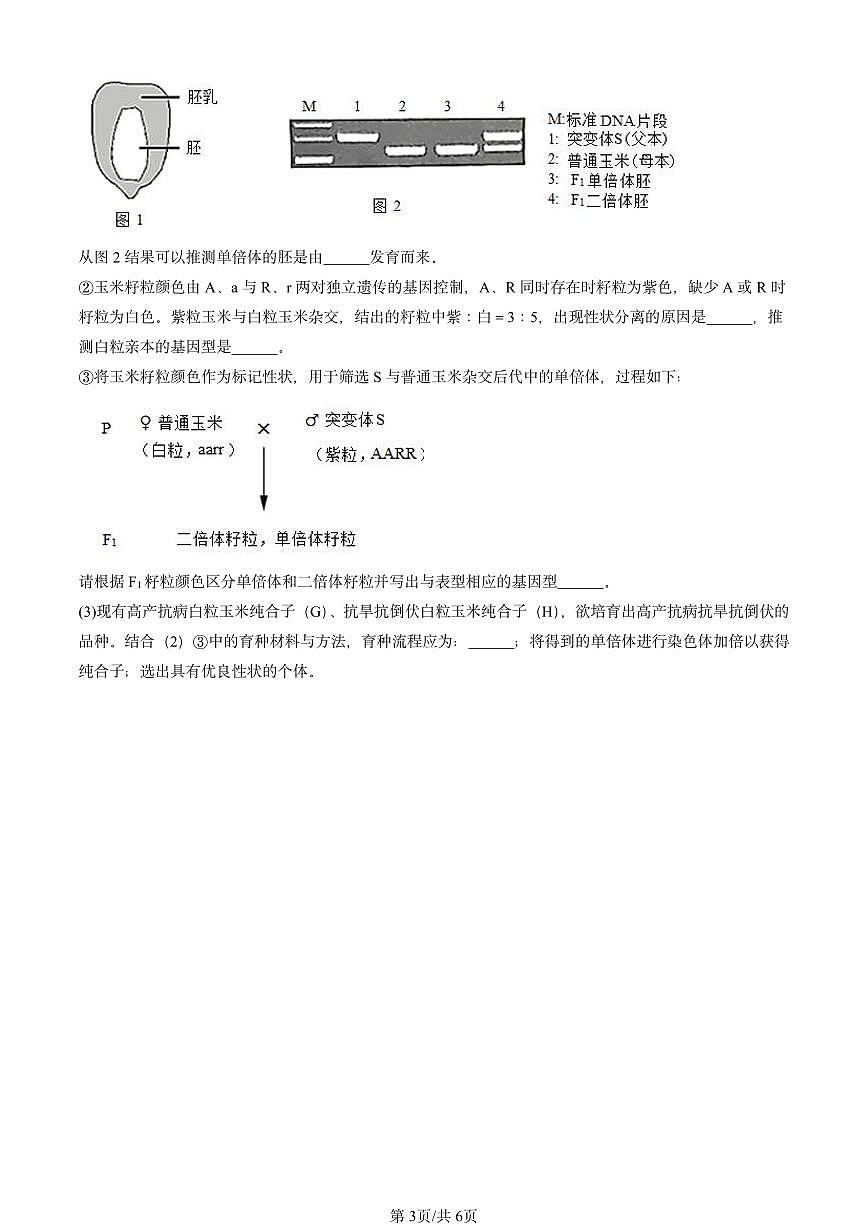 2022-2024北京重点校高三（上）期中真题生物汇编：植物细胞工程第3页