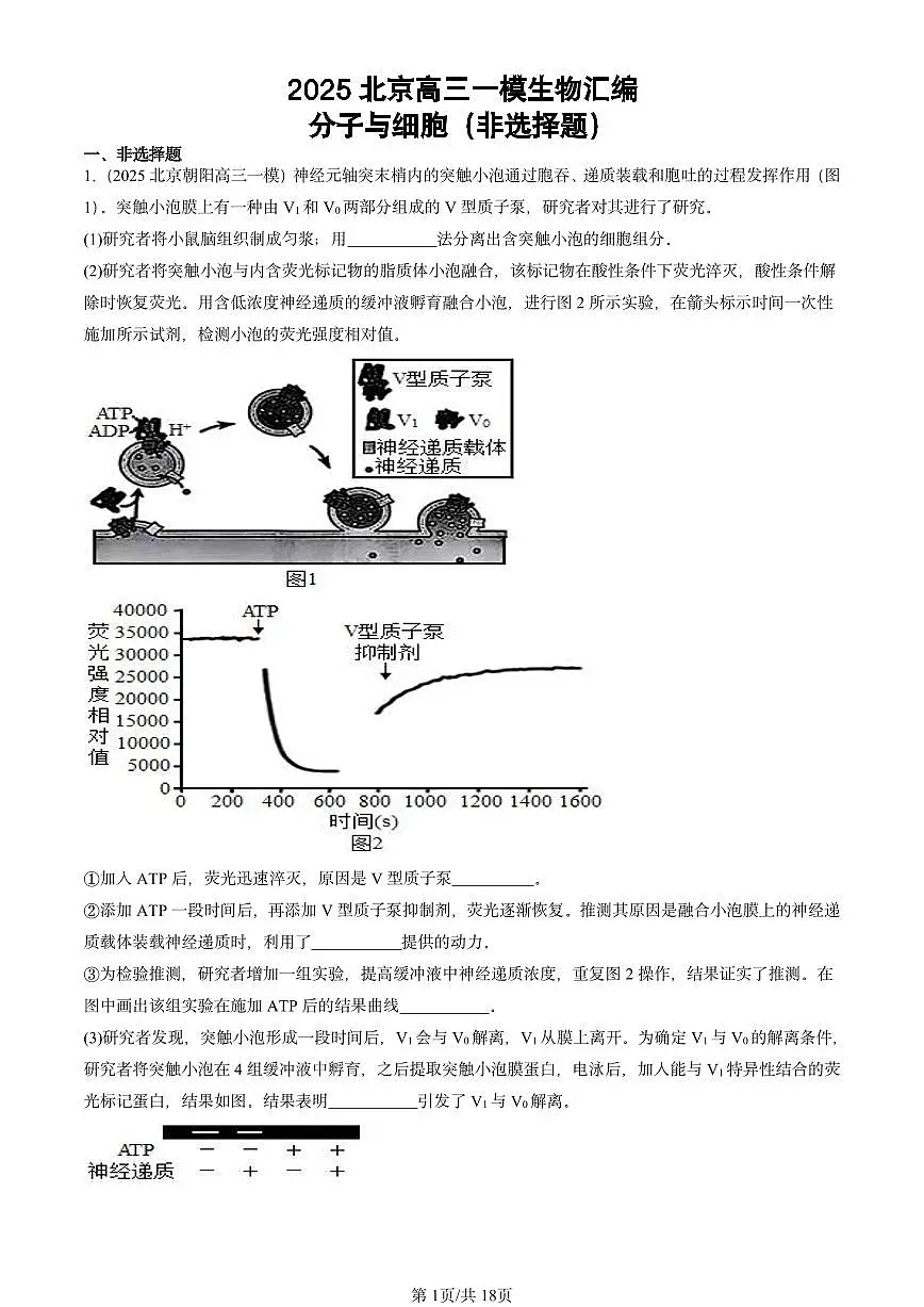 2025北京高三一模[高考模拟]生物汇编：分子与细胞（非选择题）第1页