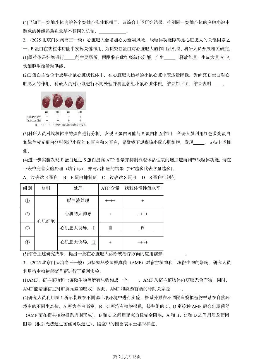 2025北京高三一模[高考模拟]生物汇编：分子与细胞（非选择题）第2页
