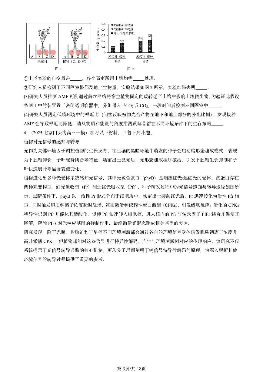 2025北京高三一模[高考模拟]生物汇编：分子与细胞（非选择题）第3页