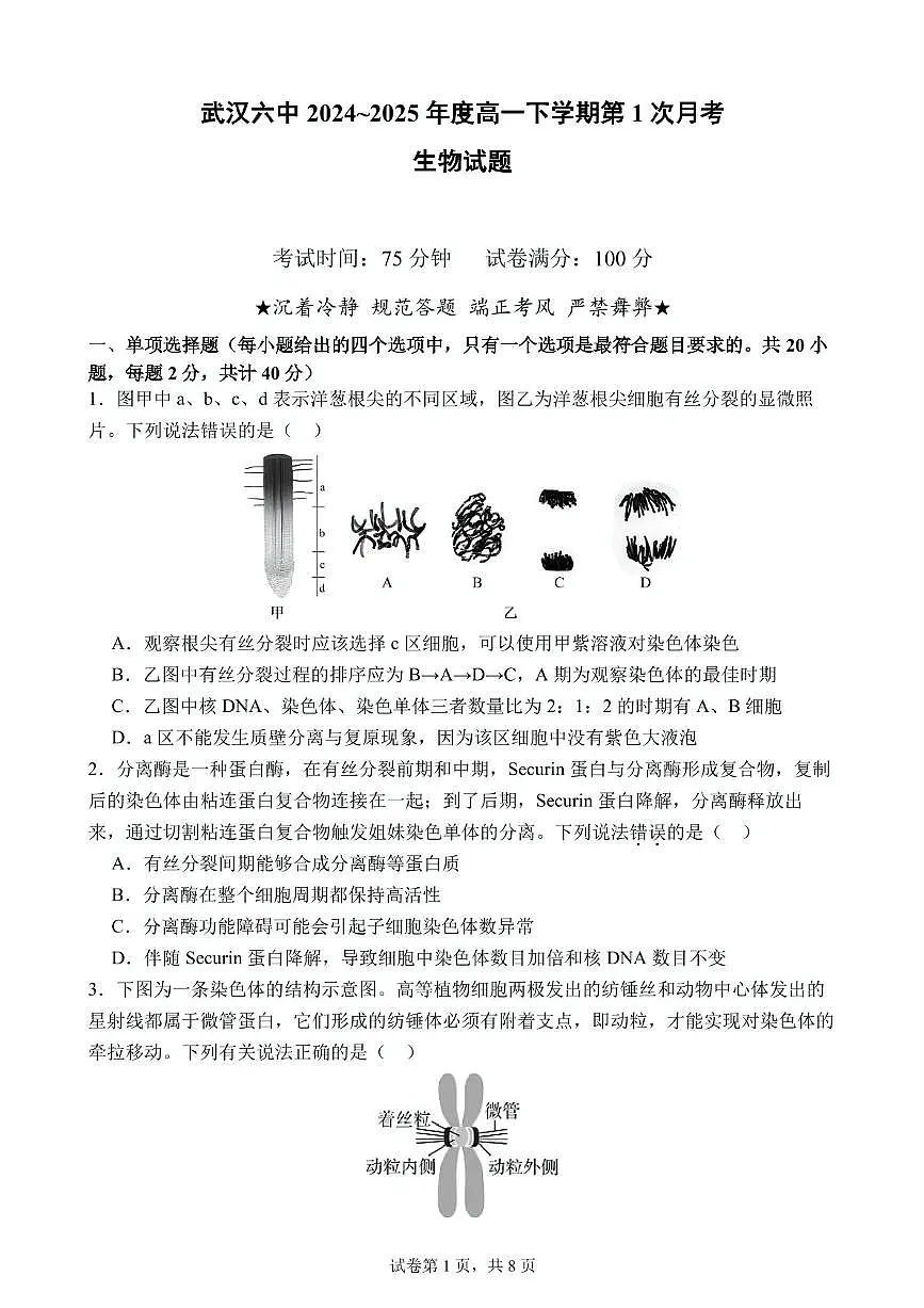 湖北省武汉市第六中学2024-2025学年高一下学期3月月考 生物试卷（含答案）第1页