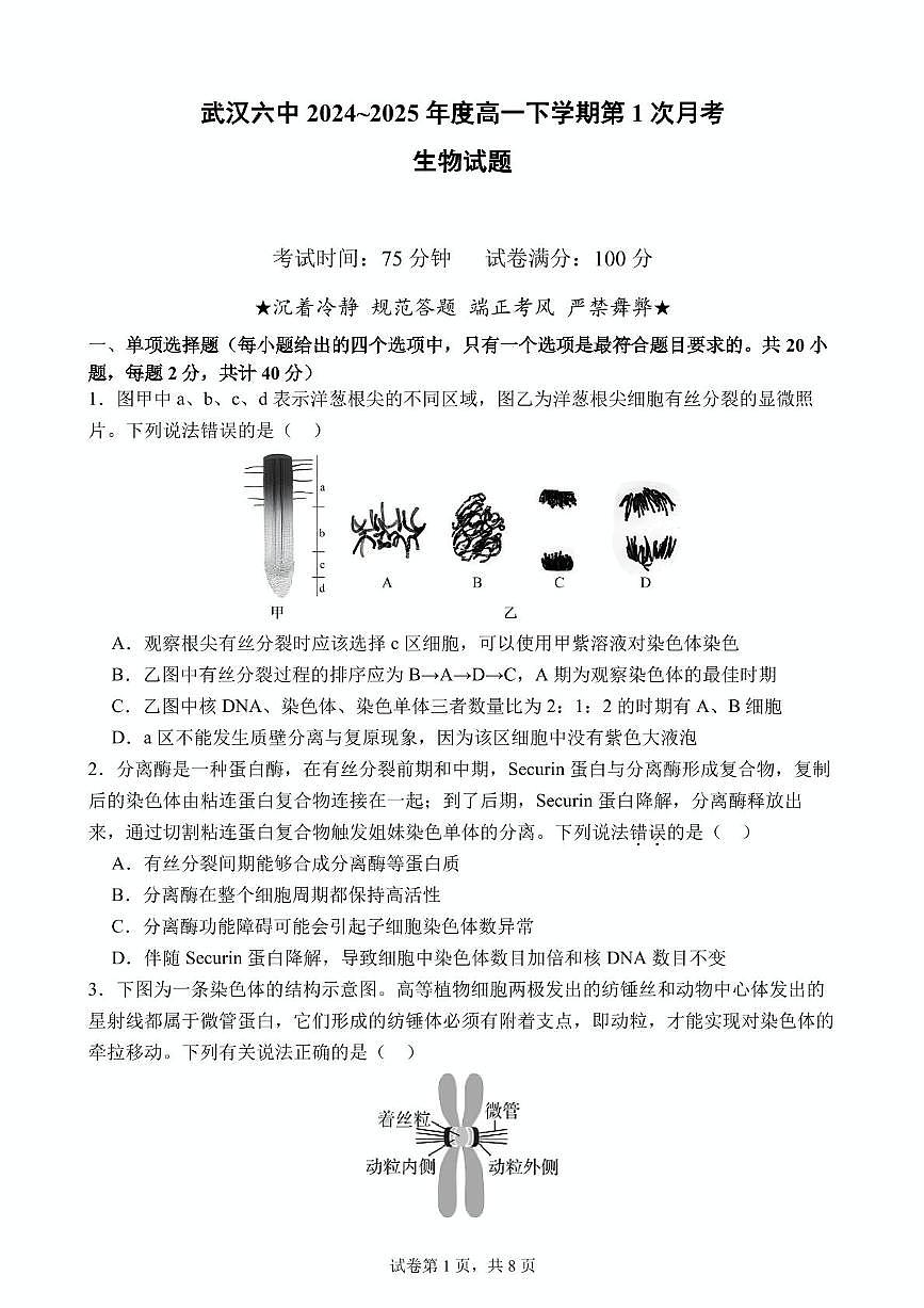 湖北省武汉市第六中学2024-2025学年高一下学期3月月考 生物试卷（含答案）第1页