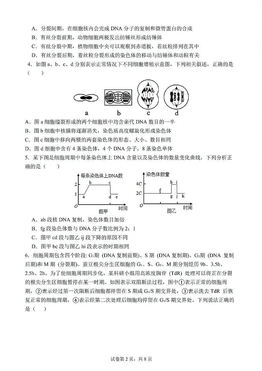 湖北省武汉市第六中学2024-2025学年高一下学期3月月考 生物试卷（含答案）第2页
