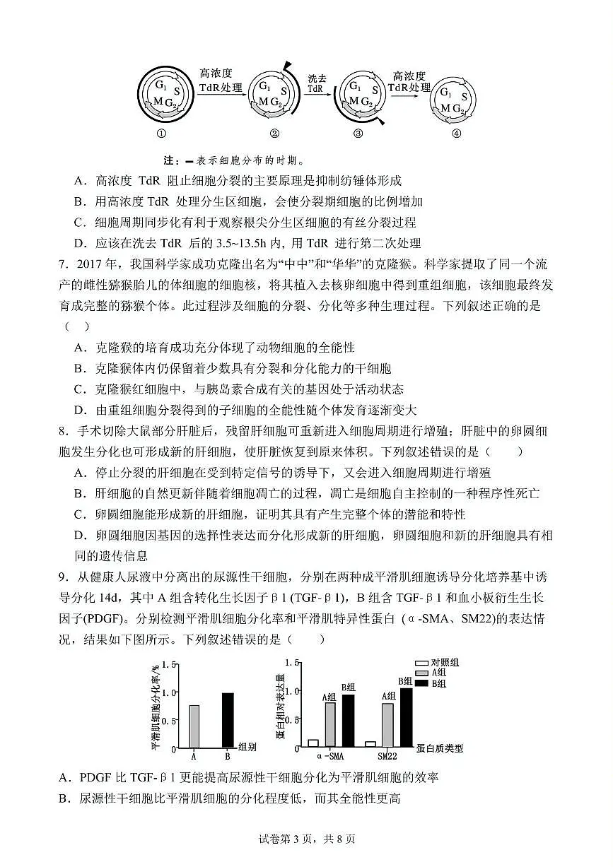 湖北省武汉市第六中学2024-2025学年高一下学期3月月考 生物试卷（含答案）第3页