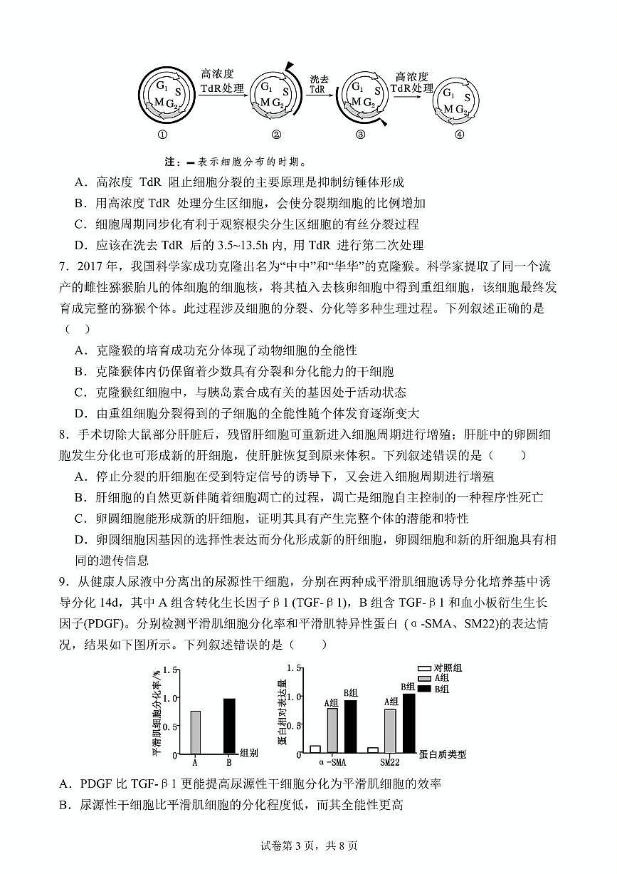 湖北省武汉市第六中学2024-2025学年高一下学期3月月考 生物试卷（含答案）第3页