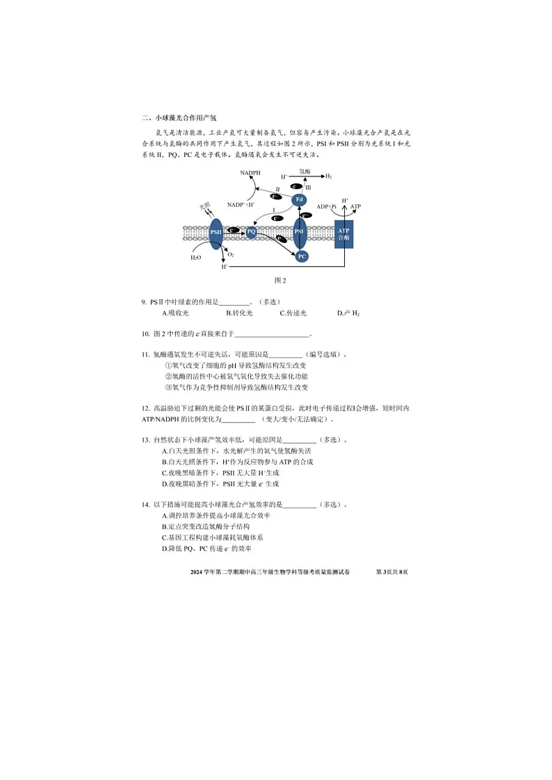 上海市宝山区2025年高三二模考试生物试卷含答案第3页