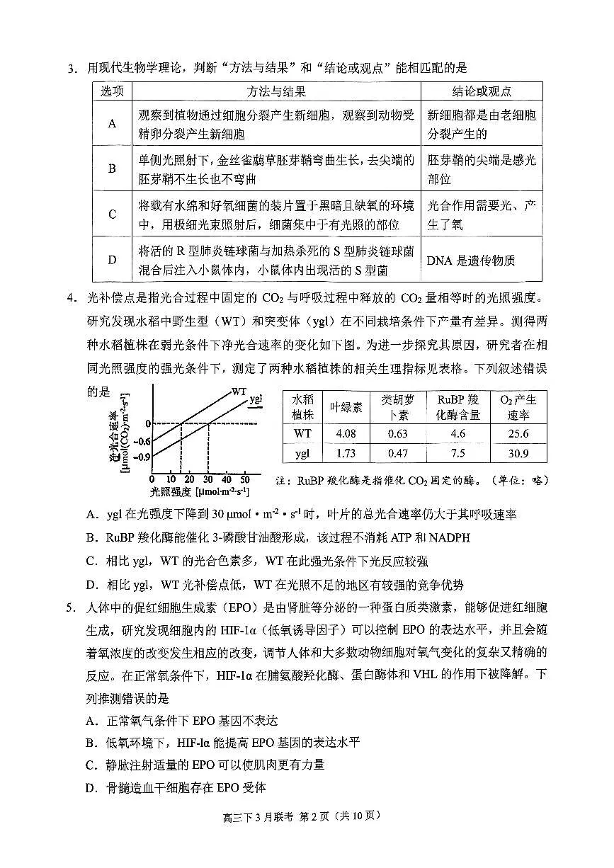 重庆市高2025届拔尖强基联盟高三（下）3月联合诊断性考试 生物试卷（含答案）第2页