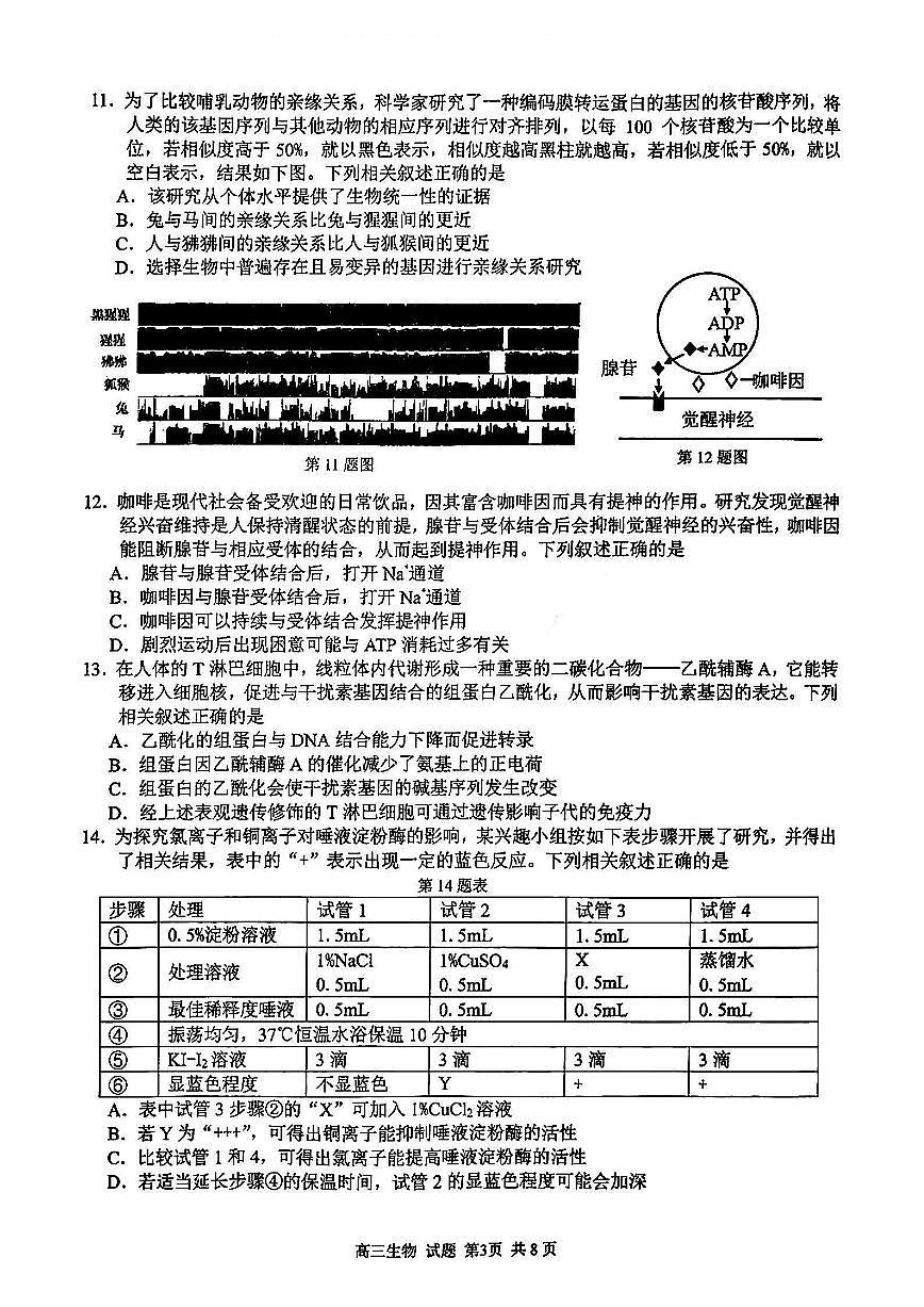 2024届浙江省精诚联盟高三适应考-生物试卷（含答案）第3页
