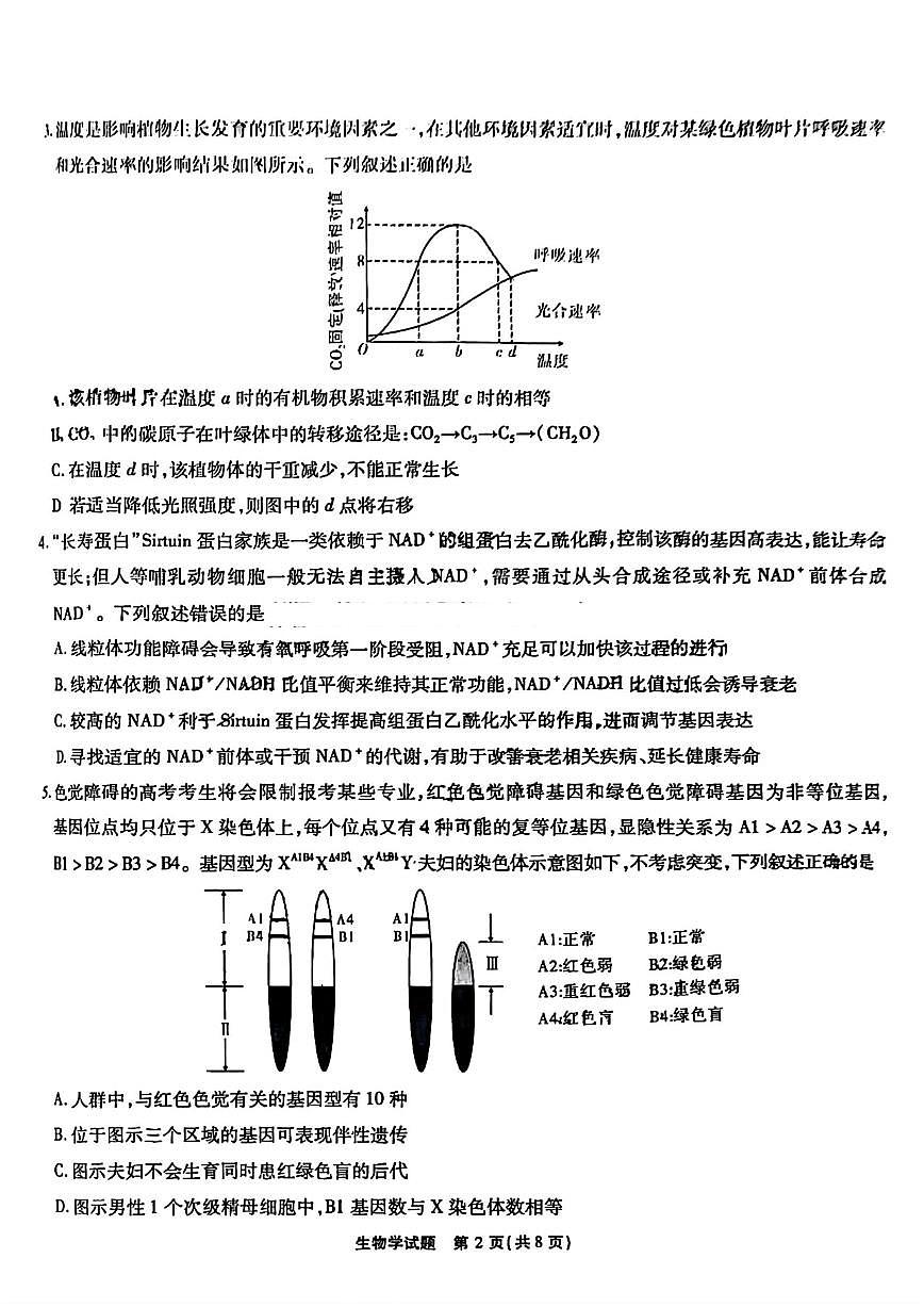 安徽省江淮十校2025届高三高考模拟第三次联考生物试题+答案第2页