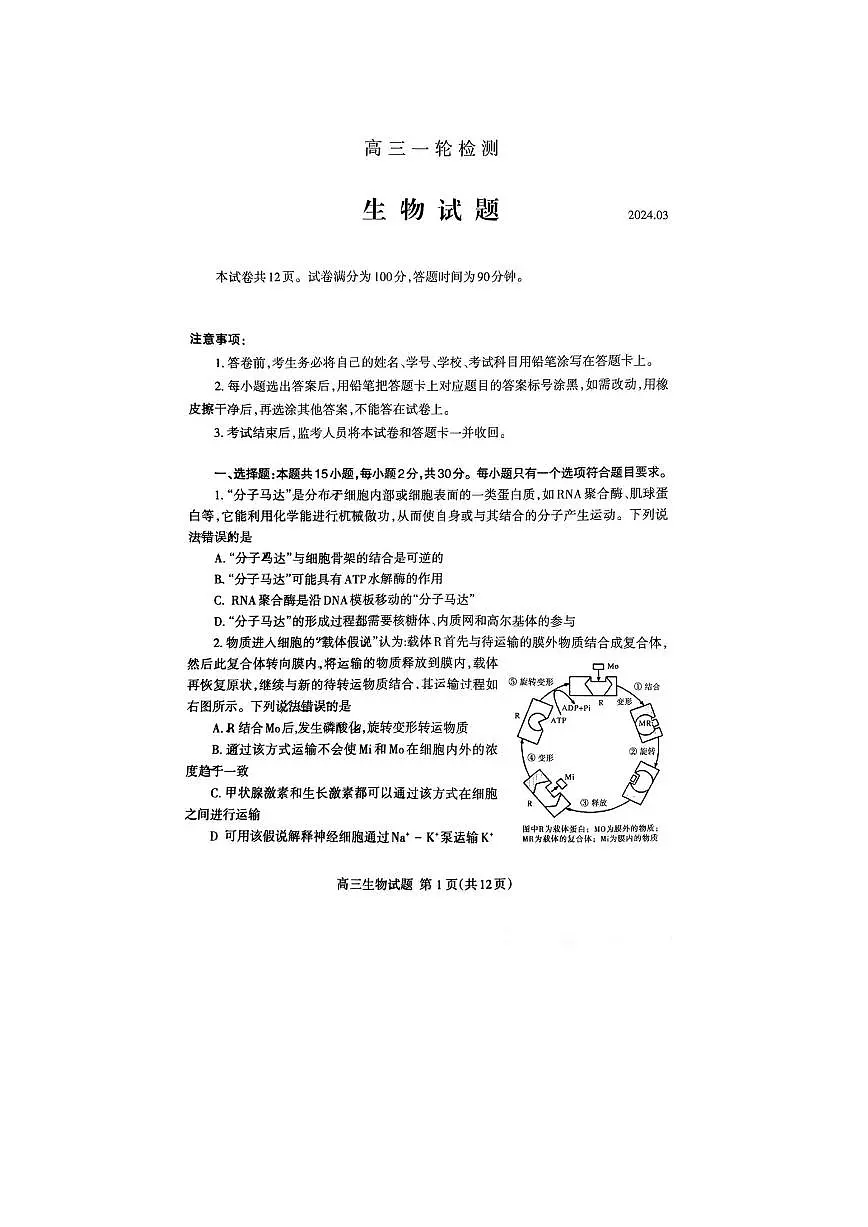 2024届山东省泰安市高三一模考试(3月)-生物试卷（含答案）第1页
