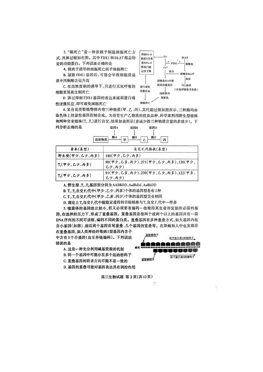 2024届山东省泰安市高三一模考试(3月)-生物试卷（含答案）第2页