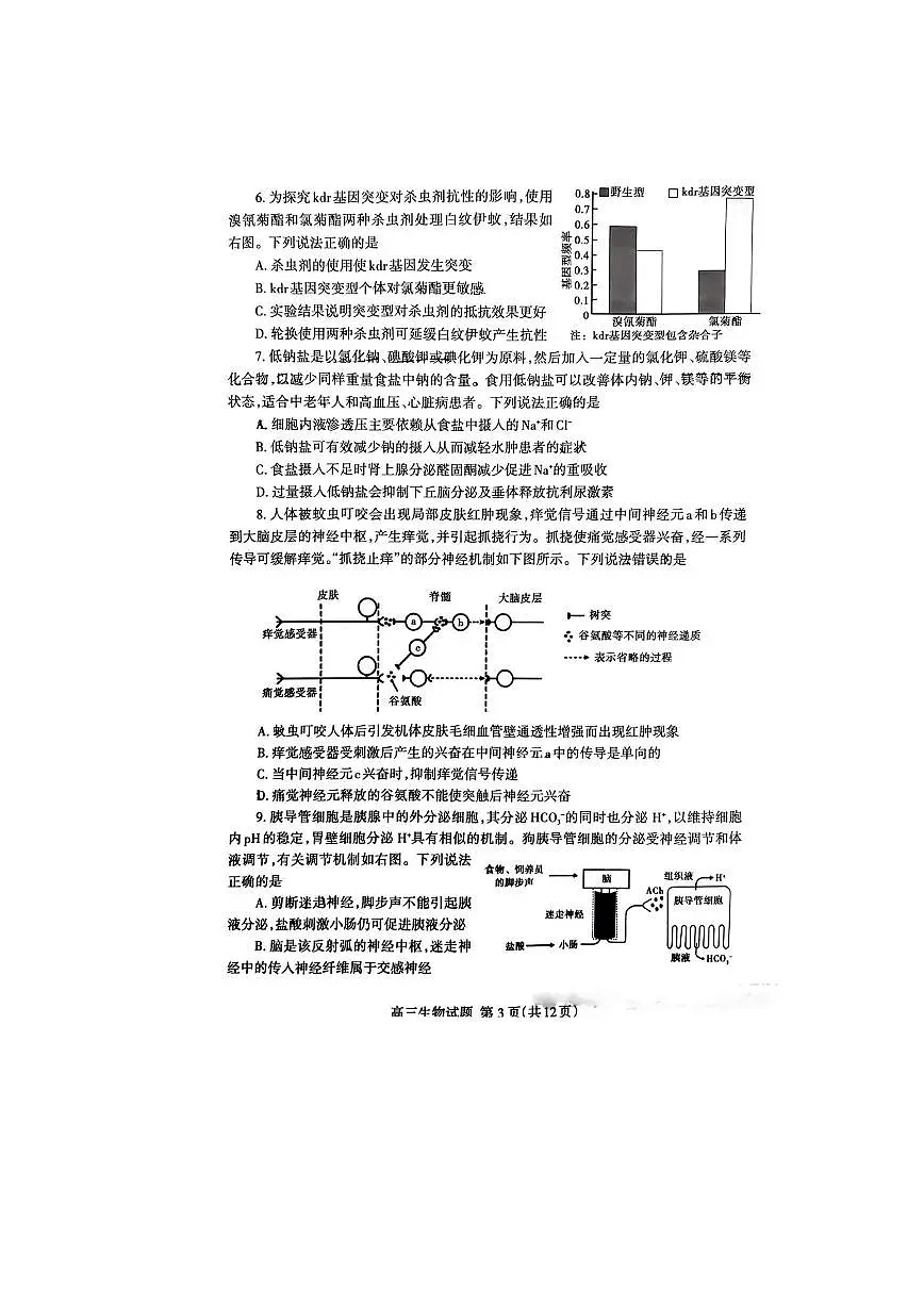 2024届山东省泰安市高三一模考试(3月)-生物试卷（含答案）第3页