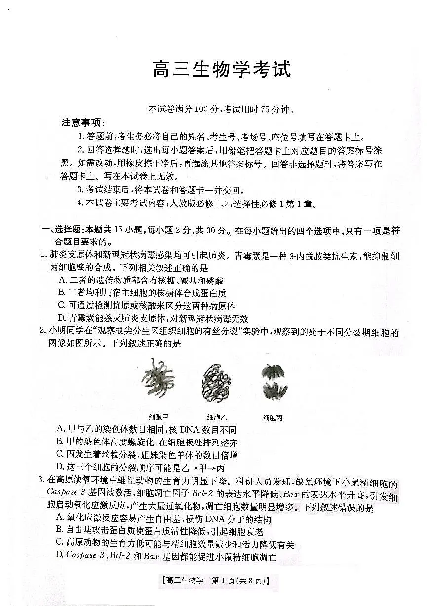 2024届辽宁省高三联考（11月）-生物试题（含答案）第1页