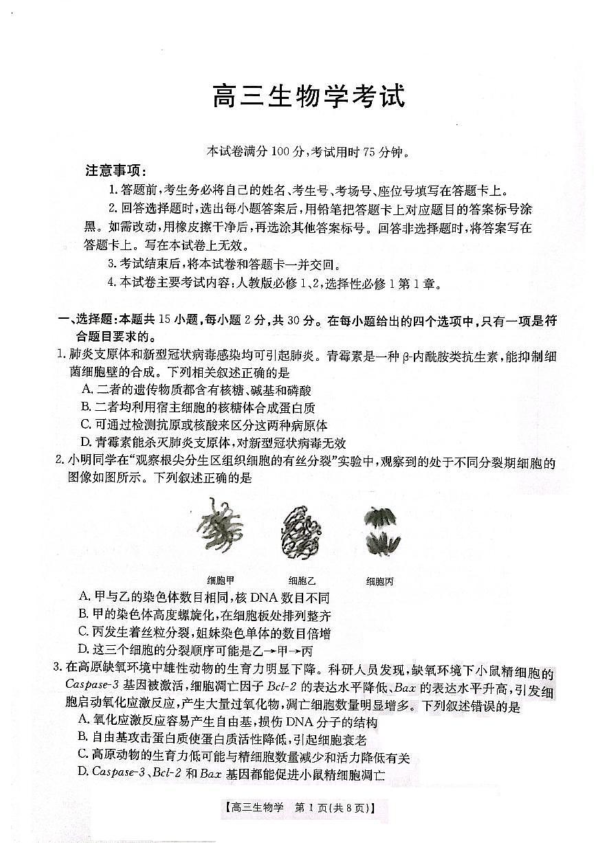 2024届辽宁省高三联考（11月）-生物试题（含答案）第1页