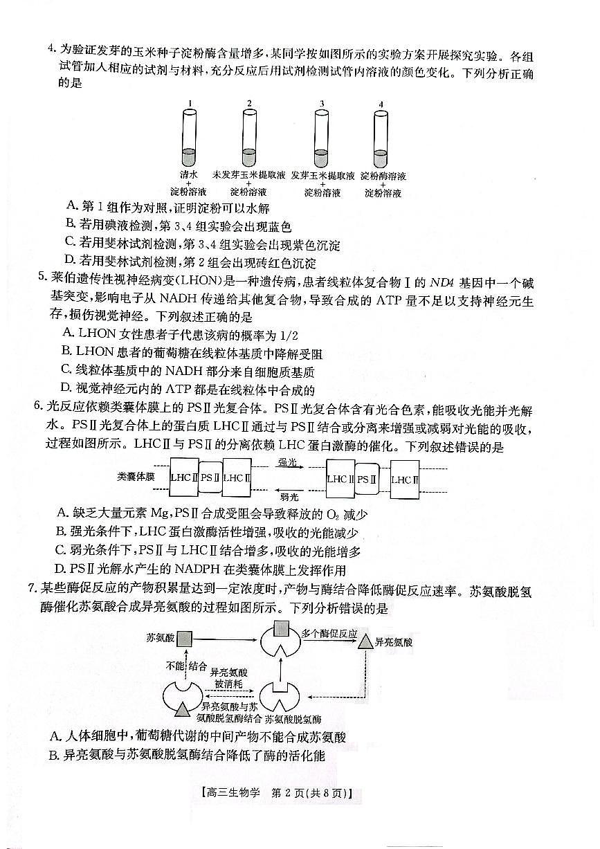 2024届辽宁省高三联考（11月）-生物试题（含答案）第2页