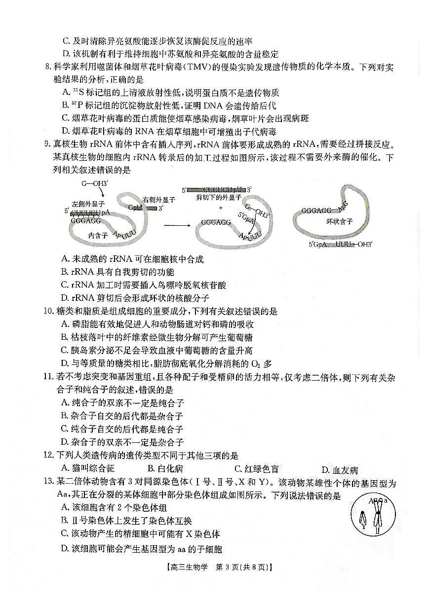 2024届辽宁省高三联考（11月）-生物试题（含答案）第3页