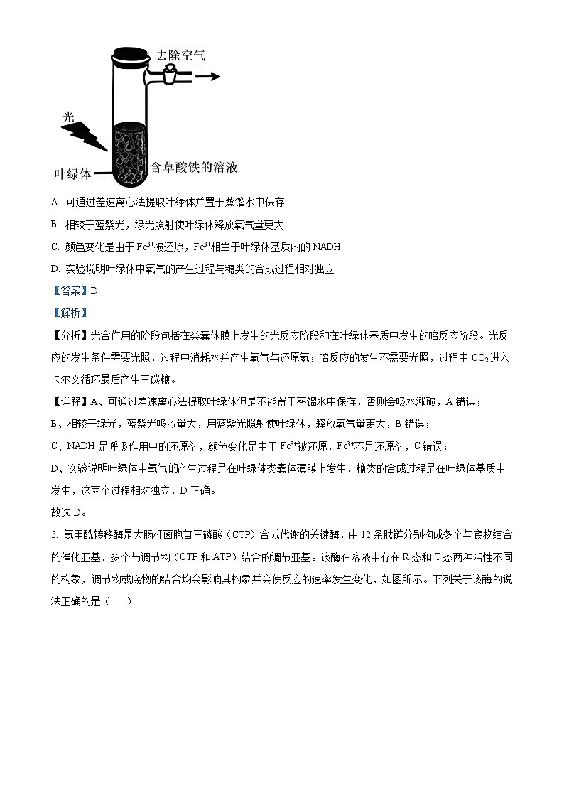 安徽省合肥市2024届高三下学期二模生物试题  含解析第2页