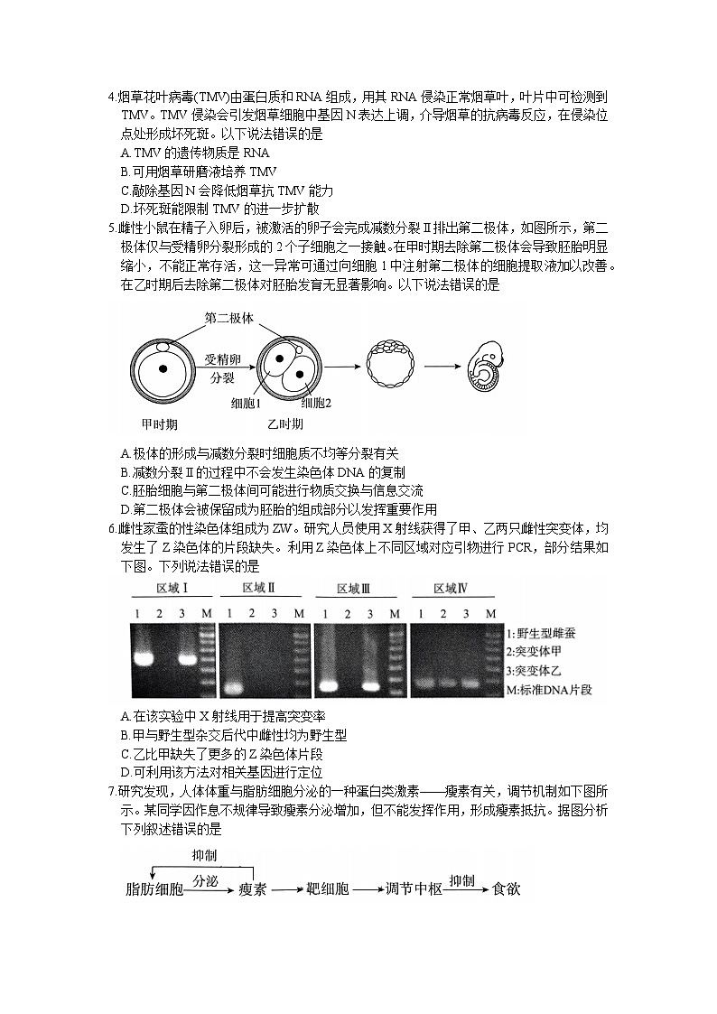 北京市东城区2024届高三下学期5月二模试题 生物 含答案第2页