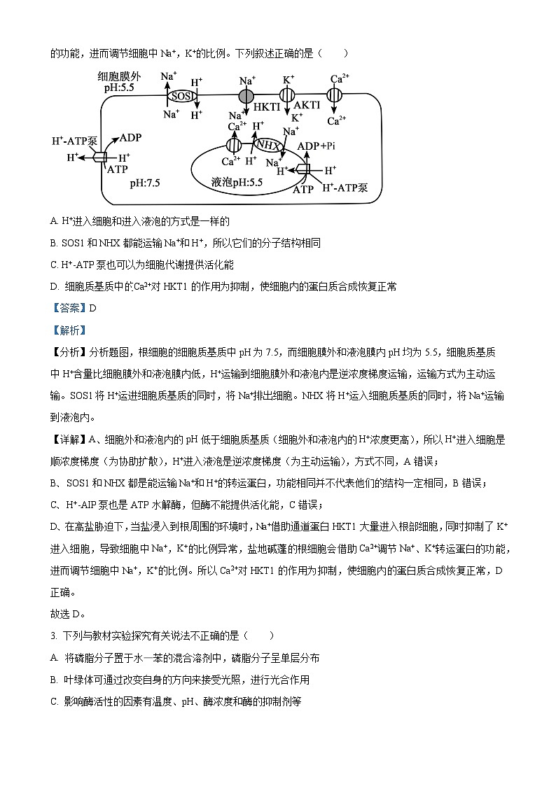 安徽省皖南八校2024届高三下学期第三次大联考生物试卷 含解析第2页