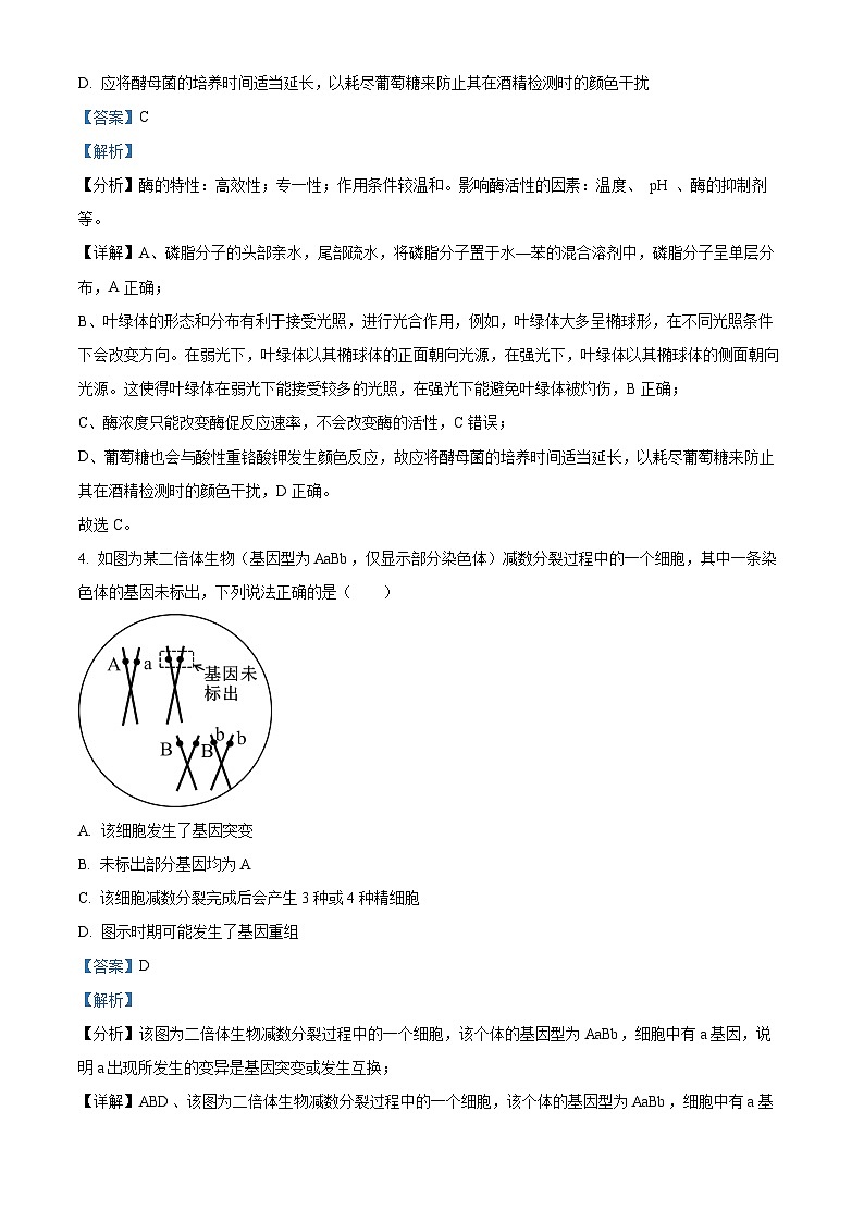 安徽省皖南八校2024届高三下学期第三次大联考生物试卷 含解析第3页