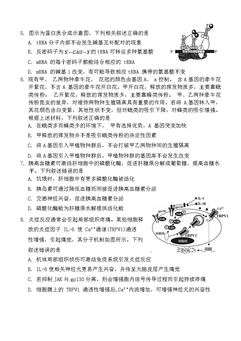 福建省龙岩市2023—2024学年高三下学期3月质检生物试题 附答案第2页