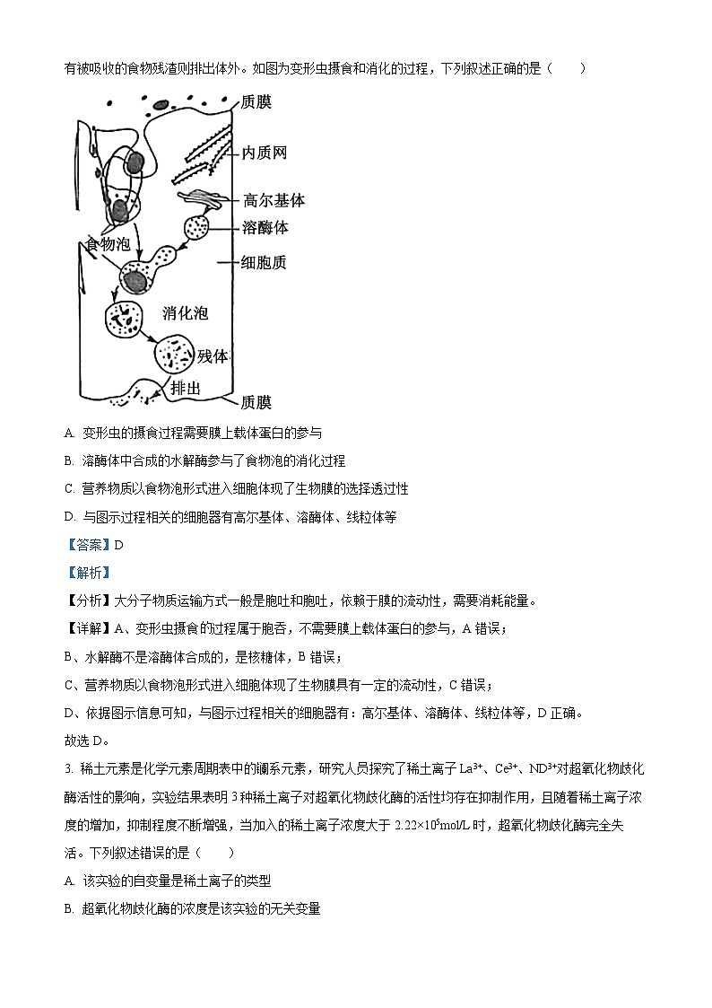 福建省泉州，福州部分学校2024届高三年下学期3月联考生物试题（解析版）第2页