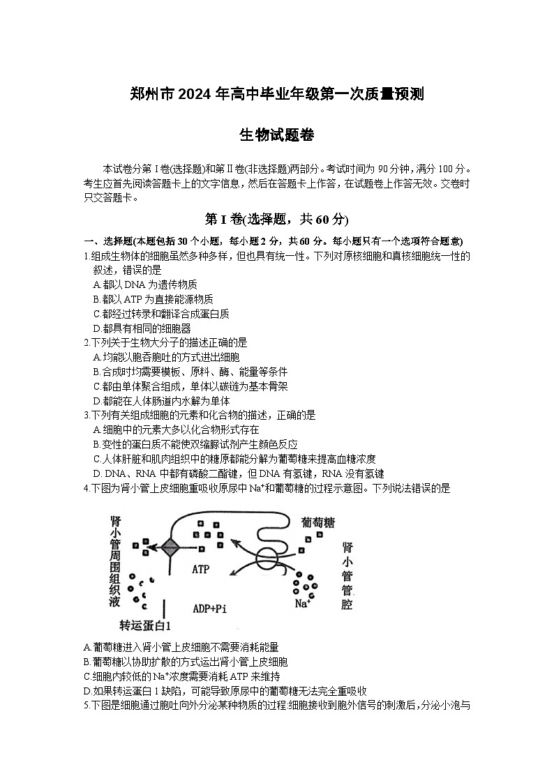 河南省郑州市2024届高三上学期第一次质量预测试题（一模）生物 含答案第1页